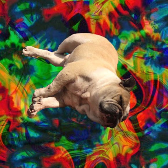 Meet your Posher, Rodriguez - Picture 1 of 1